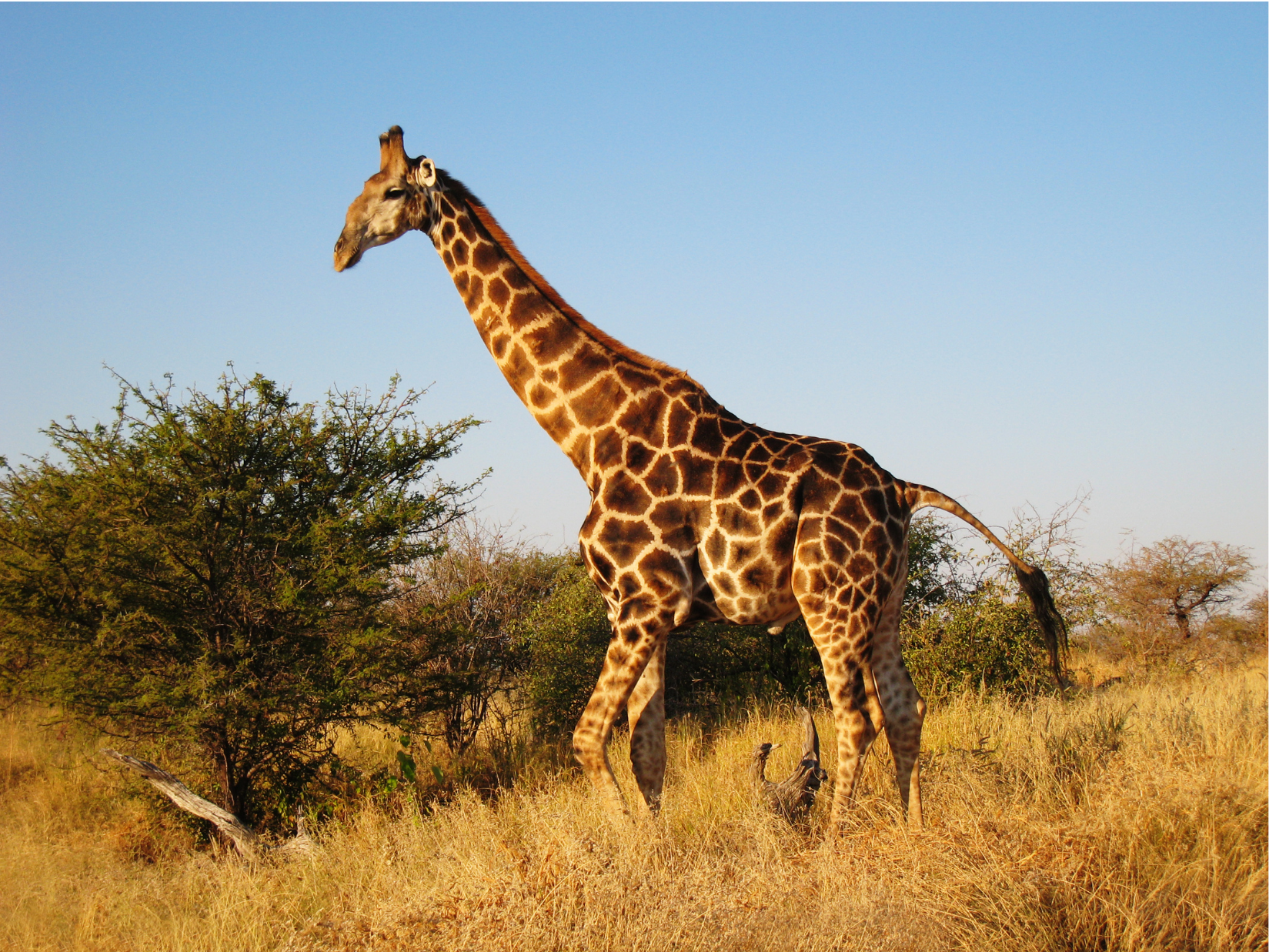 blog News 